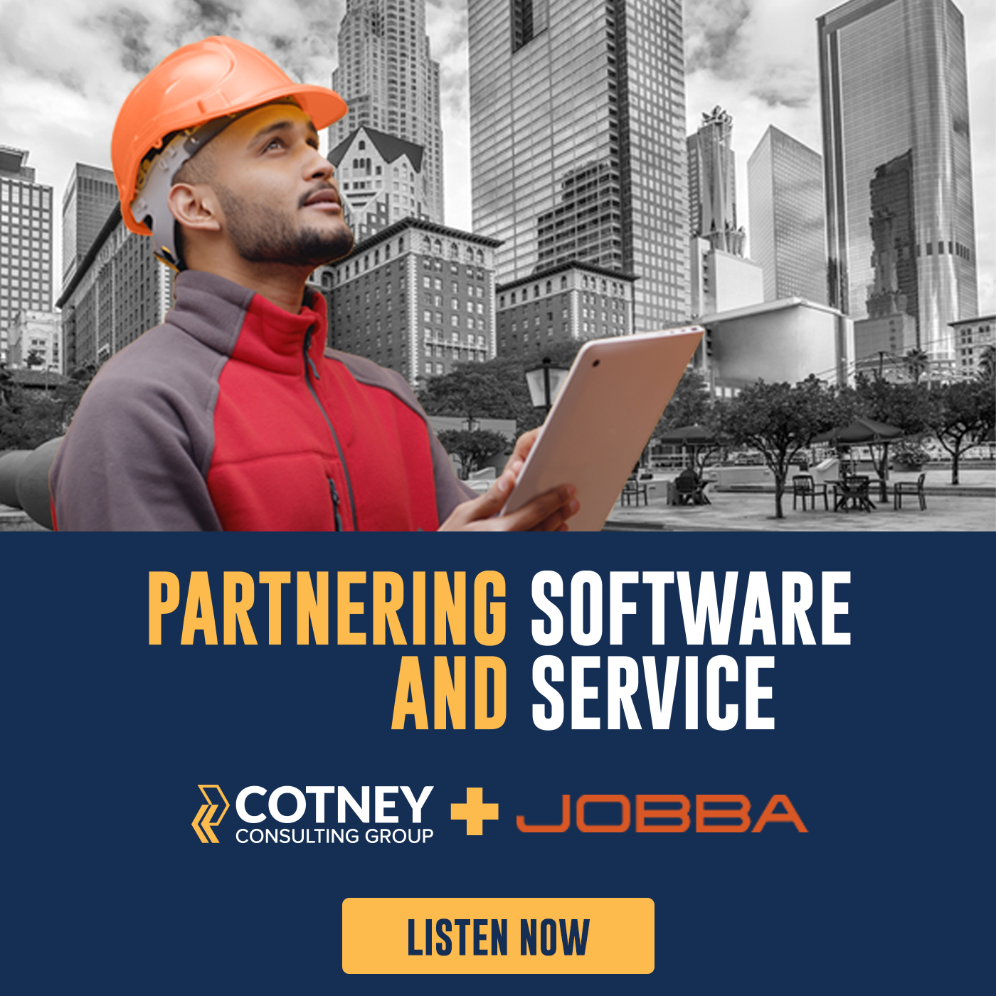 Cotney & JOBBA RLW - Partnering Software and Service - POD