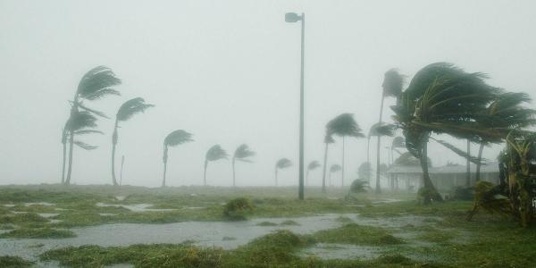 RCS Fighting Windstorms