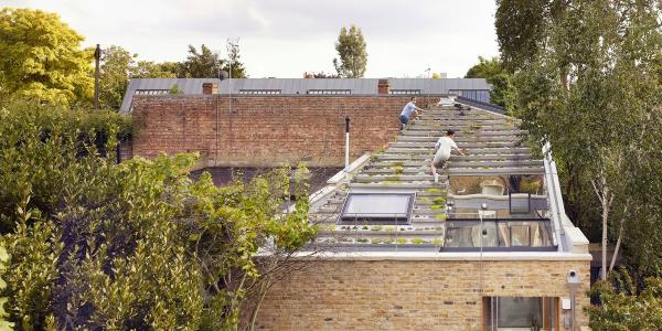 AAR Flat Green Roof