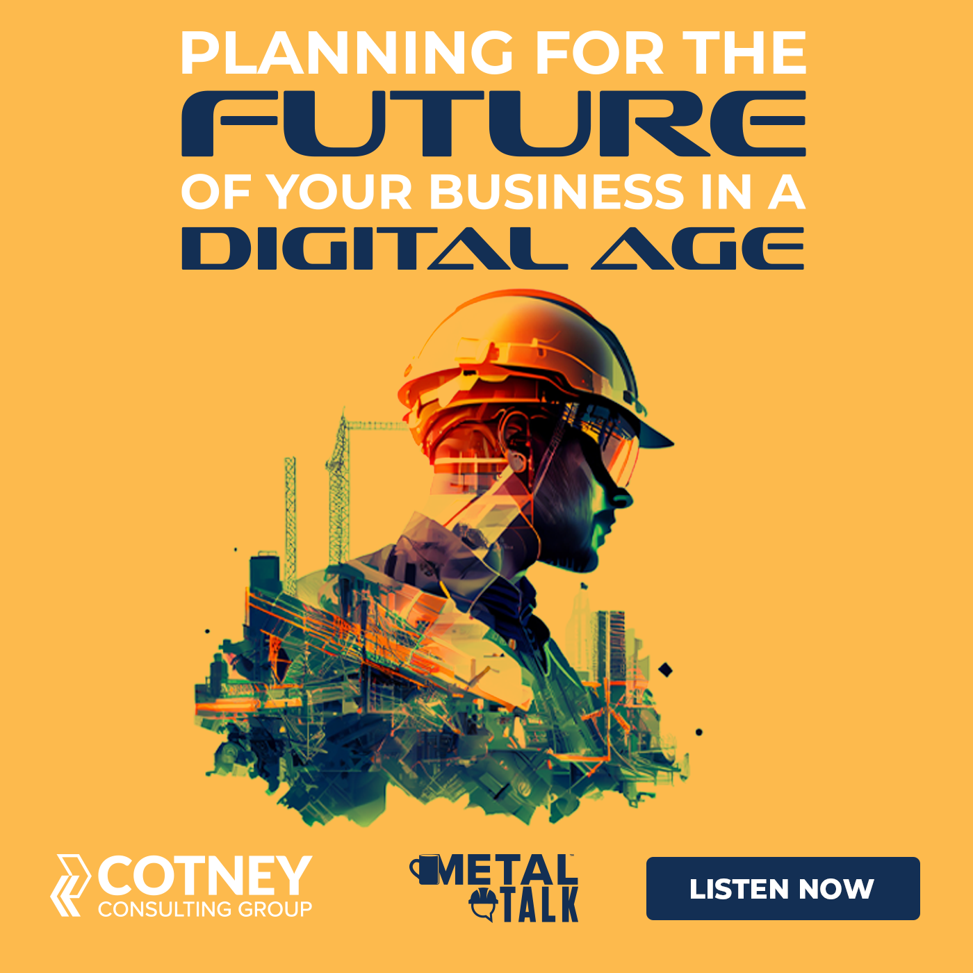 Cotney - Planning for the Future of Your Business in a Digital Age - POD