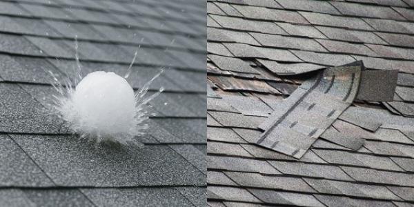 Assessing Hail & Wind Damage 600x300