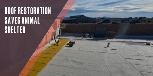 Roof restoration shelters animal shelter from costly tear off Roof restoration shelters animal shelter from costly tear off