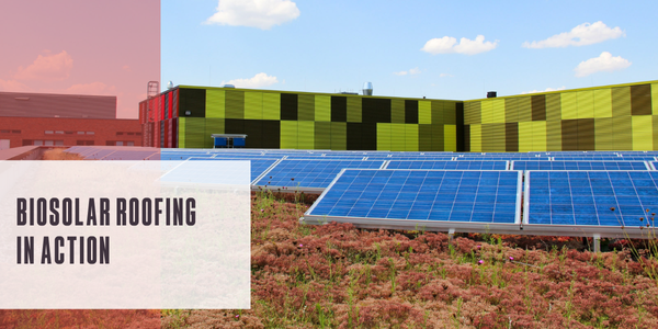 Biosolar roofing in action