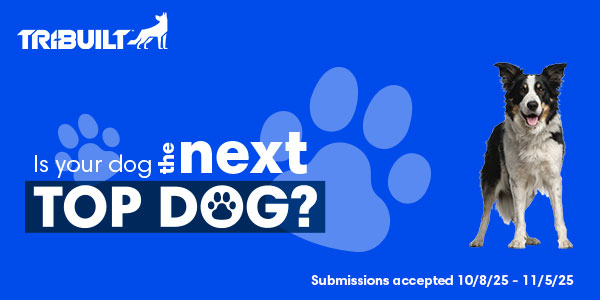 Every dog has it’s day, is this your pup’s? QXO Every dog has it’s day, is this your pup’s? QXO