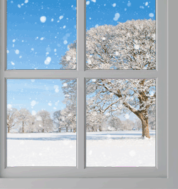 Rocky Mountain Snow Guards - Sidebar Ad - Free Training!