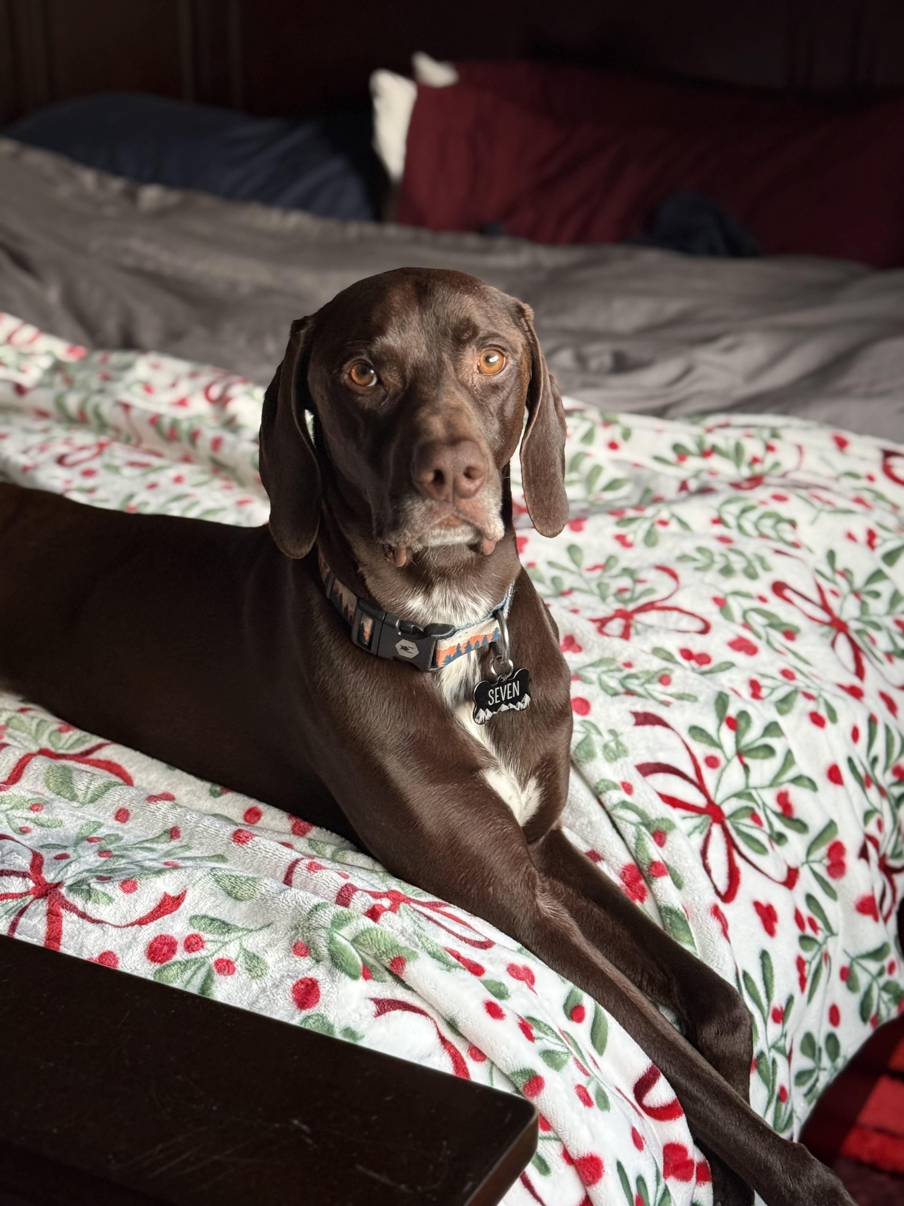 Integrity PNW LLC of Tacoma, WA