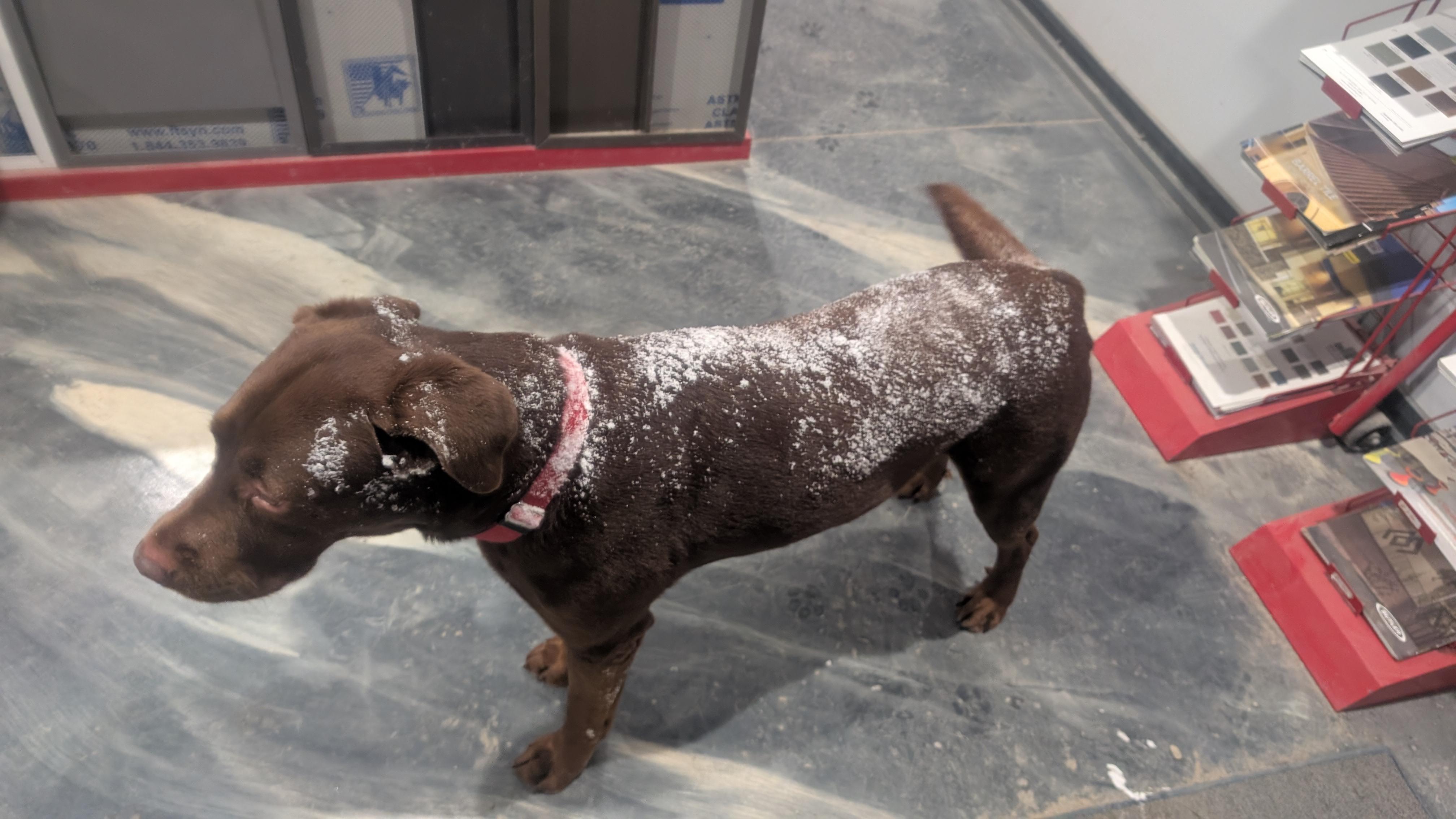 National Metal Sales of Brownstown, MI