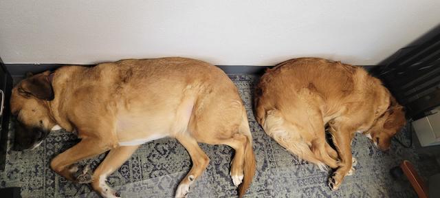 Metal Roof Production of Garland, Texas