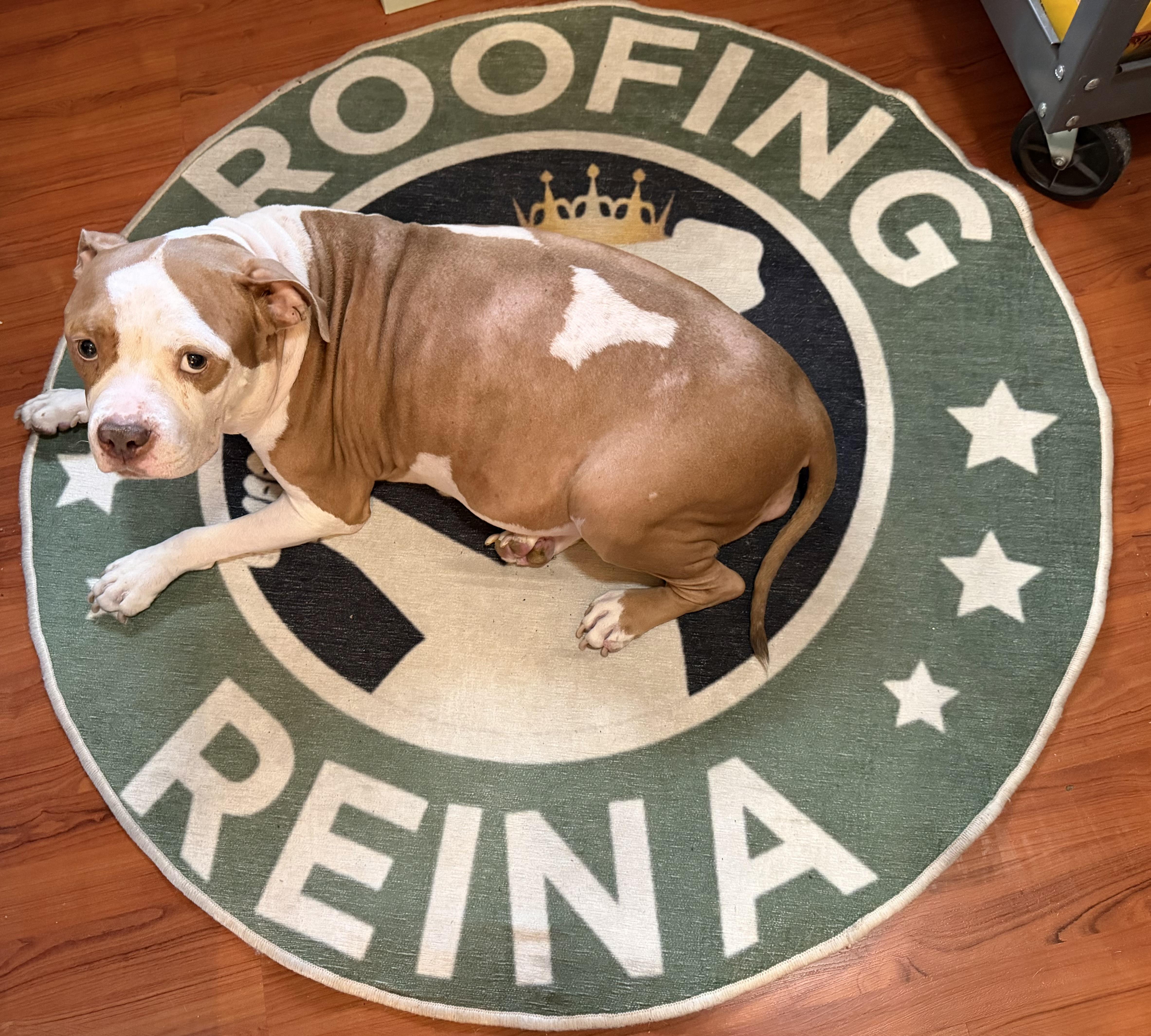 Roofing Reina of Davie, Florida