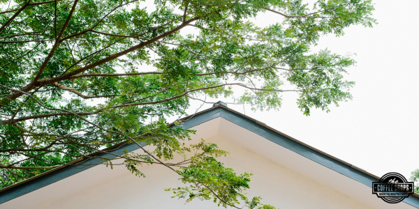 Las lecciones que te llevan al éxito