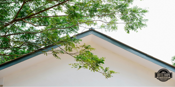 Spring roof maintenance tips every homeowner should know